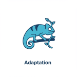 Adaptation