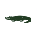Alligator