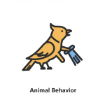 Animal Behavior