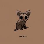 Aye-aye