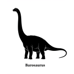 Barosaurus