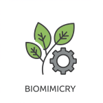 Biomimicry