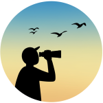 Bird Watching