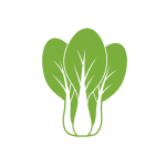 Bok Choy