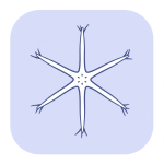 Brittle Star