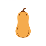 Butternut Squash