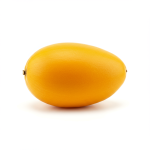 Canistel