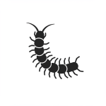 Centipede