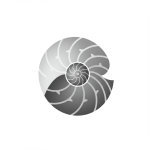 Chambered Nautilus