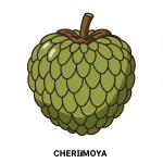 Cherimoya