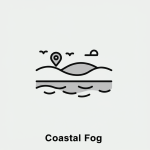 Coastal Fog