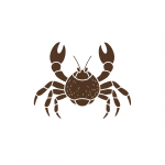 Coconut Crab