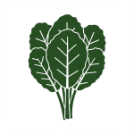 Collard Greens