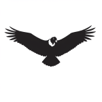 Condor