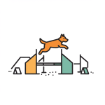 Dog Agility