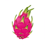 Dragon Fruit (Pitaya)