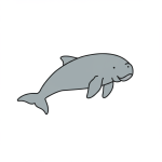Dugong
