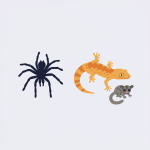 Exotic Pet Care