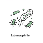 Extremophiles