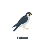 Falcon