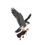 Falconry Sport