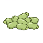Fava Beans