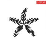 Feather Star