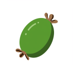 Feijoa
