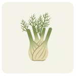 Fennel