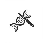 Gene Editing (CRISPR)