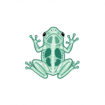 Glass Frog