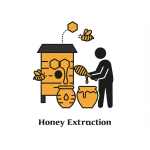 Honey Extraction