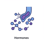 Hormones
