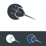 Horseshoe Crab