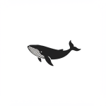 Humpback Whale