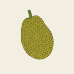 Jackfruit