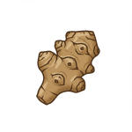 Jerusalem Artichoke