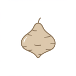 Jicama