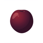 Kakadu Plum