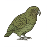 Kakapo