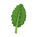 Kale