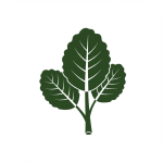 Komatsuna