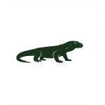 Komodo Dragon