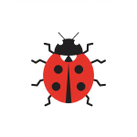 Ladybug
