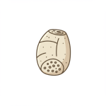 Lotus Root