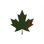 Maple