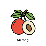 Marang