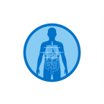 Medical Imaging Software