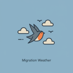 Migration Weather