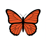 Monarch Butterfly